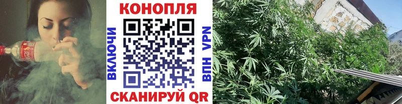 где купить наркоту  Циолковский  Канабис семена 